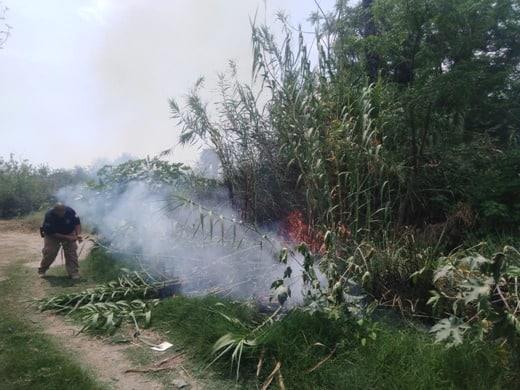 Se incendio  predio baldío