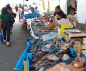 Complicado el costo de pescado y marisco en Semana Santa