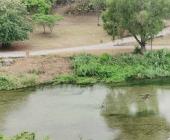 Aumentó nivel del río “Valles”