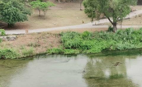 Aumentó nivel del río "Valles"