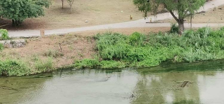 Aumentó nivel del río "Valles"