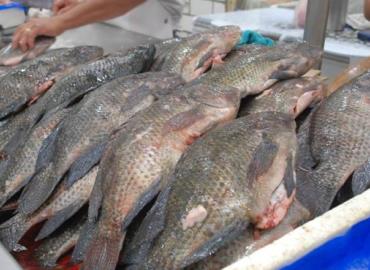 Aumentó la venta de mariscos por Semana Santa en Huazalingo