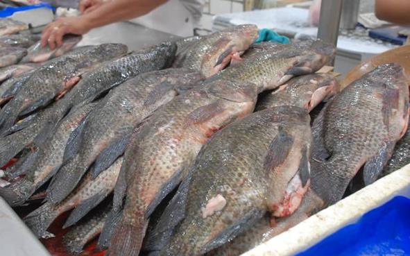 Aumentó la venta de mariscos por Semana Santa en Huazalingo