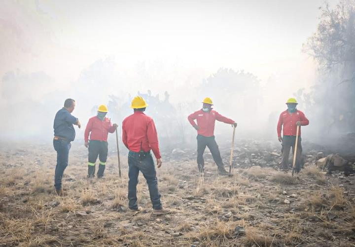 Mantiene Semarnath Estrategias para evitar incendios forestales 
