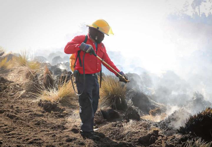 Mantiene Semarnath Estrategias para evitar incendios forestales 