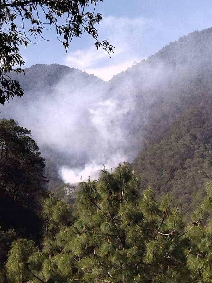 Incendio en Parque Nacional Los Mármoles, permanece en proceso de control