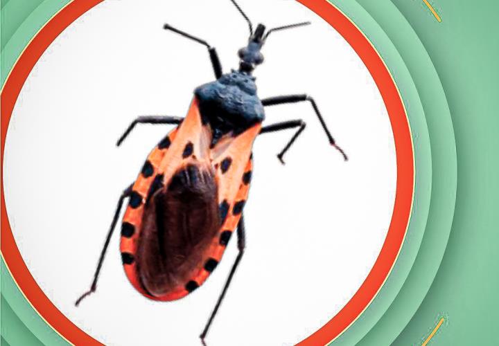 La enfermedad de Chagas debe ser integrada a la red de atención primaria de la salud