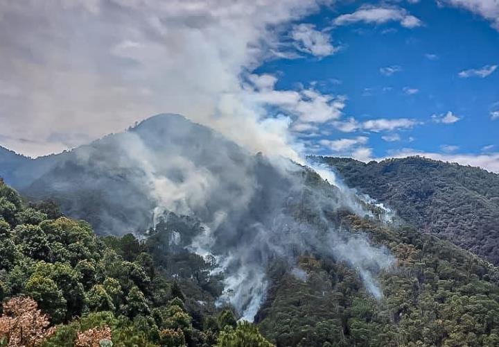 Actualización del estado que guarda el incendio en el Parque Nacional Los Mármoles, en el municipio de Zimapán: