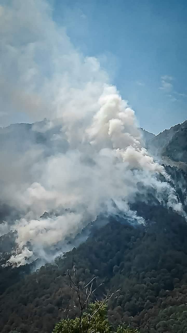 Actualización del estado que guarda el incendio en el Parque Nacional Los Mármoles, en el municipio de Zimapán: