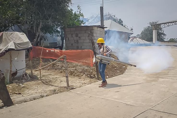 Impulsa SSH acciones para evitar enfermedades transmitidas por mosquitos