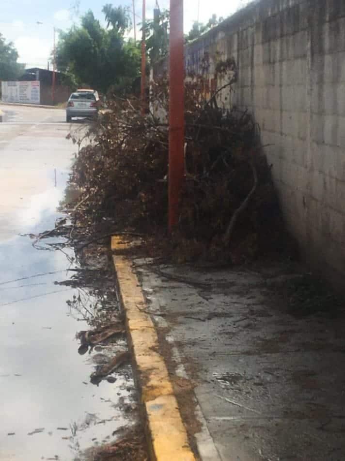 Quejas por basura en calles de Pedregal