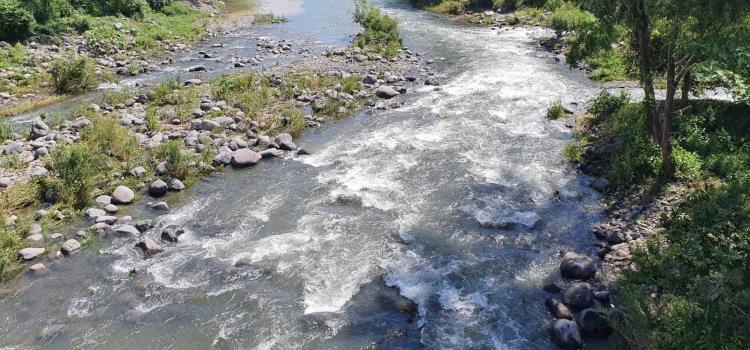 Las frecuentes lluvias han beneficiado a ríos