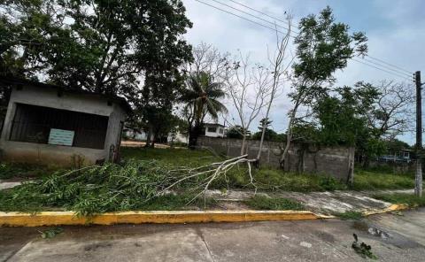 Causó tromba varios destrozos
