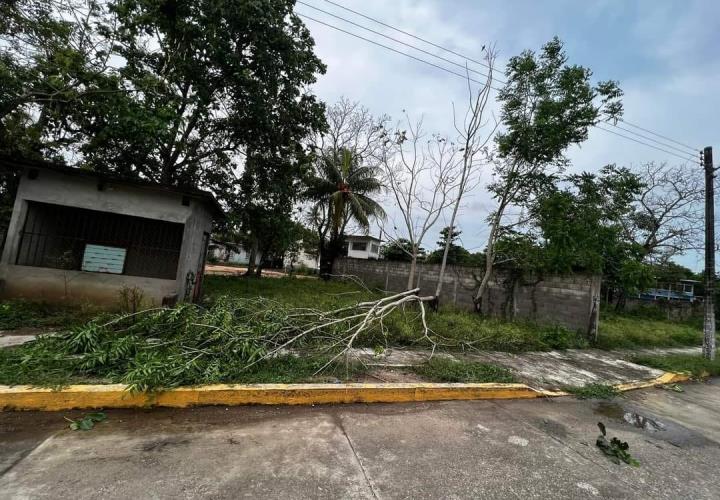 Causó tromba varios destrozos