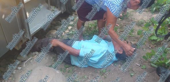 En Tantoyuca: tratan arrolló a un hombre 
