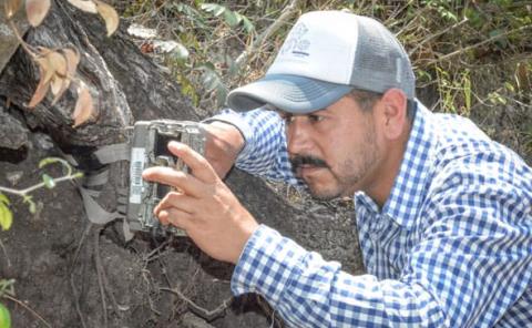 Continúa Semarnath con monitoreo de fauna silvestre en Actopan