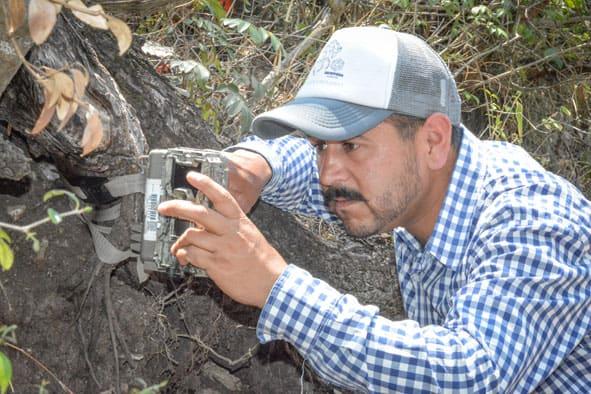 Continúa Semarnath con monitoreo de fauna silvestre en Actopan