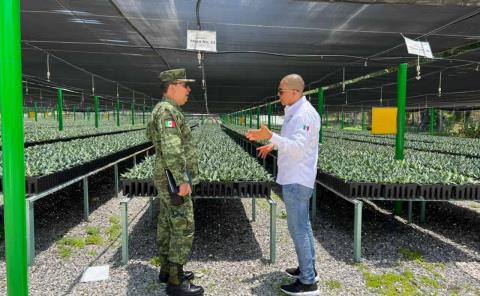 Reforestará al estado el vivero del Batallón