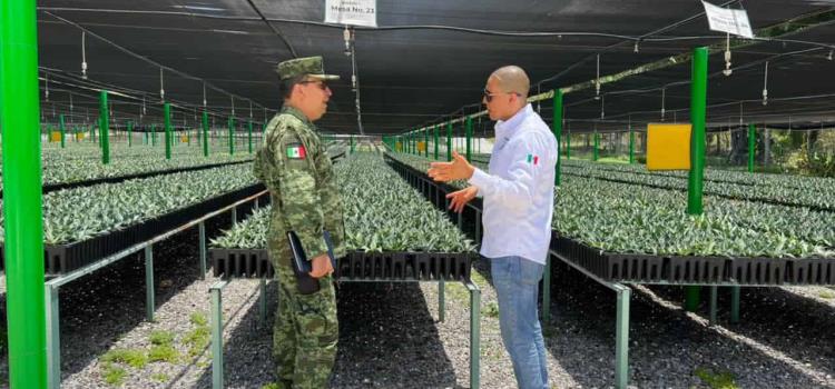 Reforestará al estado el vivero del Batallón