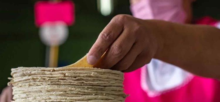 Bajará precio de la tortilla