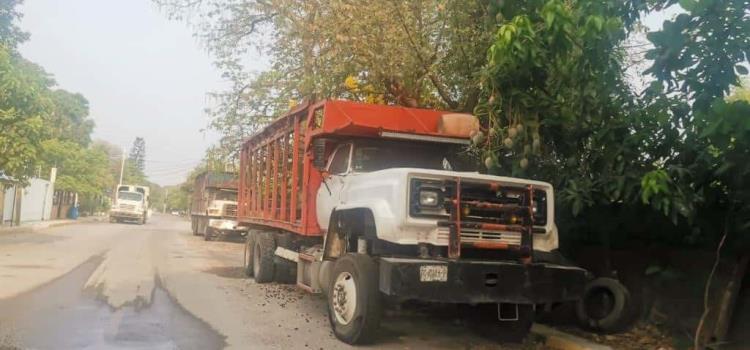 ´Peligro´ por camiones abandonados en calle