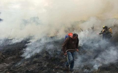 Baja la incidencia de incendios forestales
