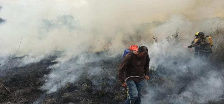 Baja la incidencia de incendios forestales