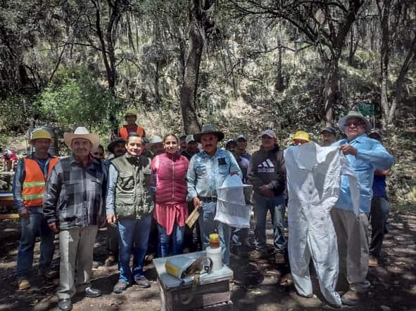 Fomenta Semarnath la práctica de apicultura responsable en El Campanario