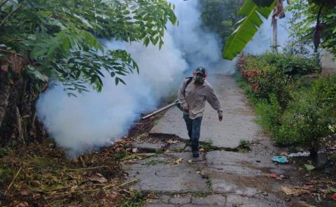 Va en aumento casos de dengue; ya fumigan  
