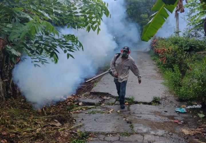 Va en aumento casos de dengue; ya fumigan  