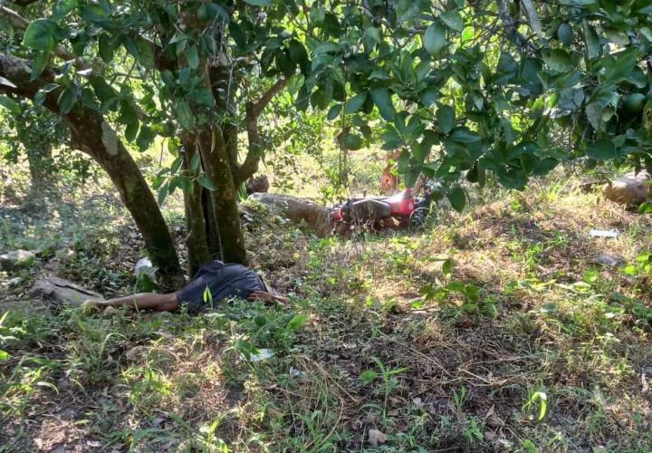 Iba volando en la moto y se estrella contra árbol