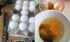 Venden huevo en mal estado 
