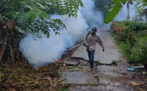 Todos participan en combatir el dengue
