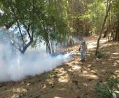 Huasteca zona de alarma por dengue