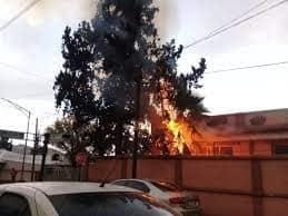 Incendio de árbol movilizó a rescatistas