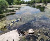 Reventó drenaje en el río Valles