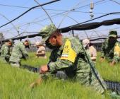 Vivero de Valles reforestará SLP