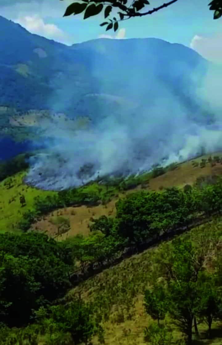 Voraz incendio en Pisaflores