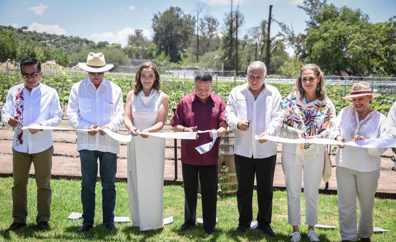 Menchaca Salazar inaugura viñedo "Tierra y Almas" en Tecozautla