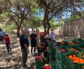 Podría desaparecer Banco de Alimentos