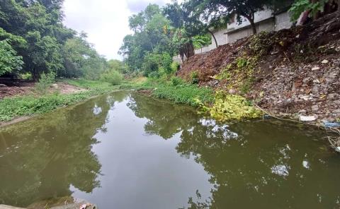 Mortandad de peces por grave contaminación