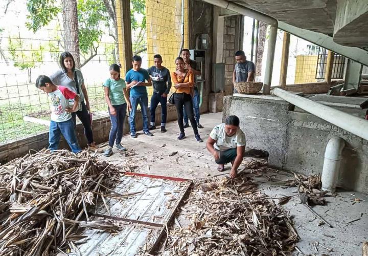 Semarnath promueve cultivo de hongo seta en la Huasteca