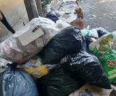 100 toneladas de basura se recolectan diariamente