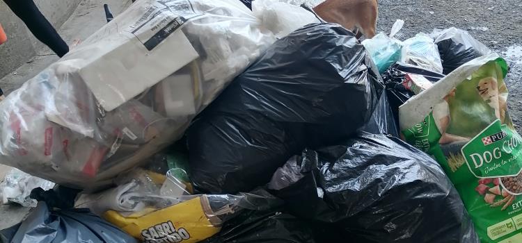 100 toneladas de basura se recolectan diariamente