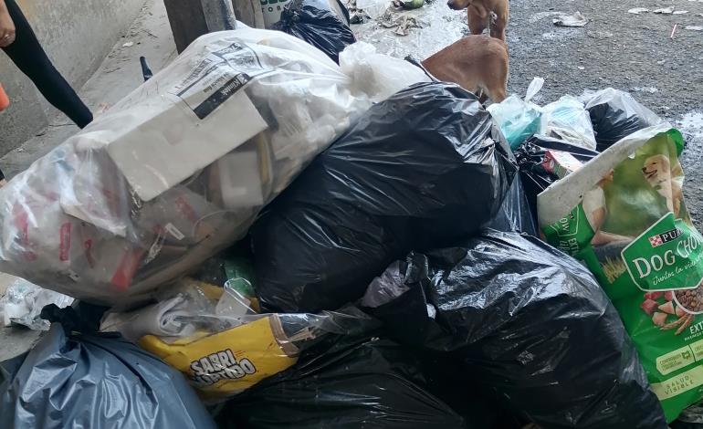 100 toneladas de basura se recolectan diariamente