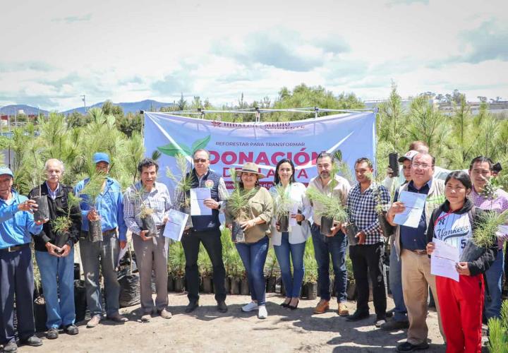 Donadas más de 100 mil plantas para impulsar la restauración ecológica en Hidalgo