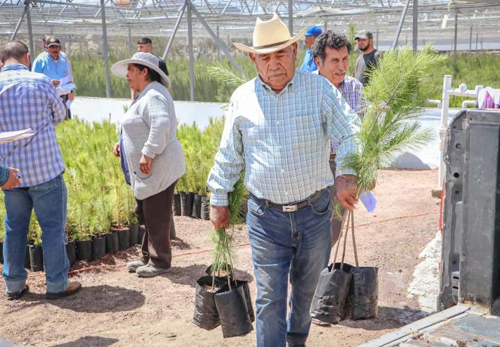 Donadas más de 100 mil plantas para impulsar la restauración ecológica en Hidalgo