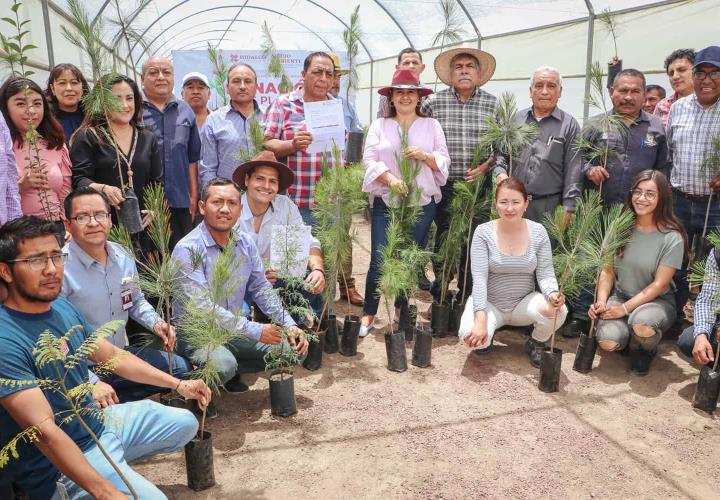 Donadas más de 100 mil plantas para impulsar la restauración ecológica en Hidalgo