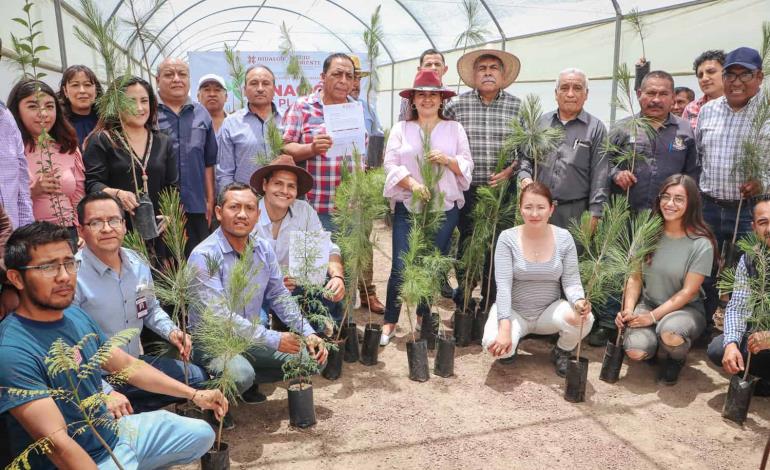 Donadas más de 100 mil plantas para impulsar la restauración ecológica en Hidalgo