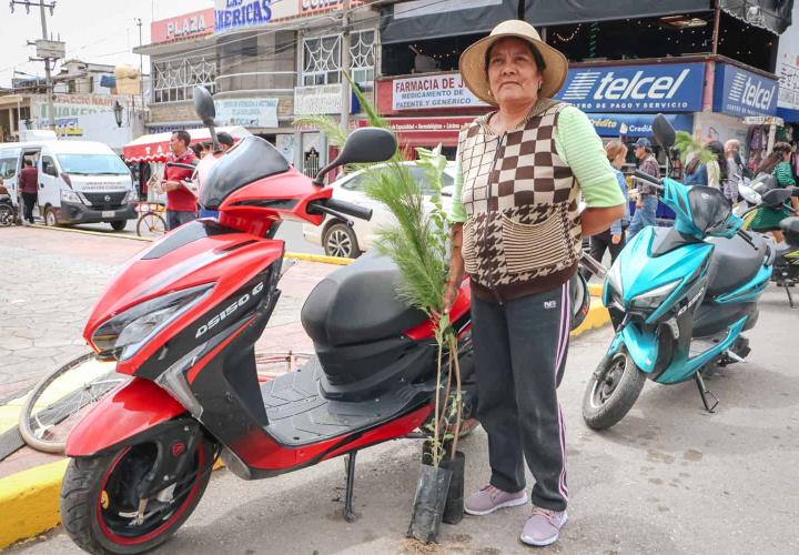 Donadas más de 100 mil plantas para impulsar la restauración ecológica en Hidalgo